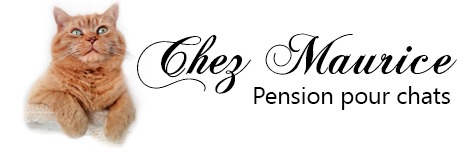 Chez Maurice