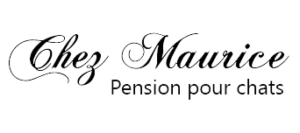 Chez Maurice, pension pour chats
